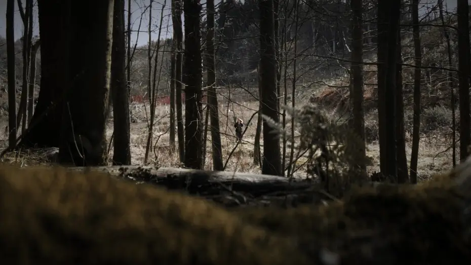 Видео к фильму Branches of a Fig Tree — Branches of a Fig Tree - Teaser