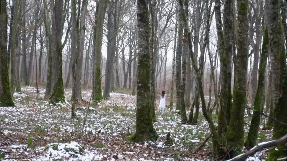 Видео к фильму somniaque — somniaque | court-métrage
