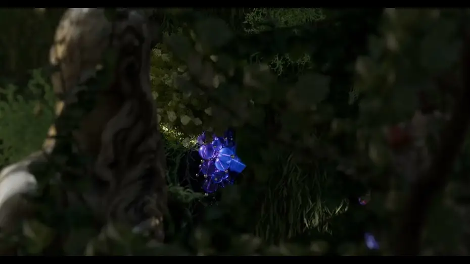 Видео к фильму The Fox and the Grapes — The Fox and The Grapes Official trailer
