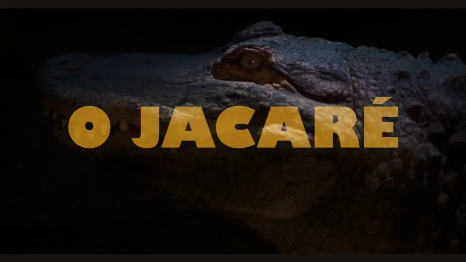 Видео к фильму O Jacaré — Official Trailer