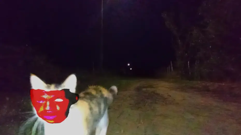 Видео к фильму Eu Ja Sonhei Com Isso — Eu Já Sonhei Com Isso