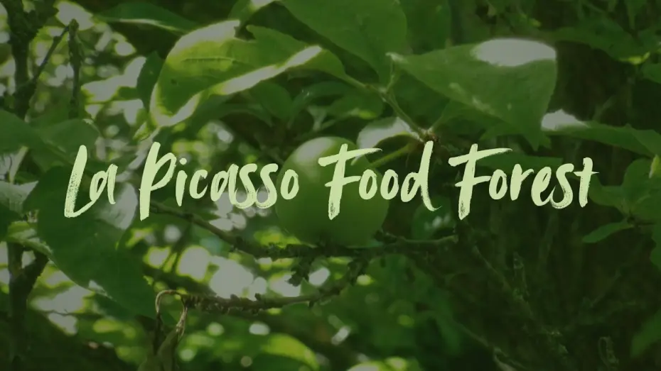 Видео к фильму La Picasso Food Forest — La Picasso Food Forest