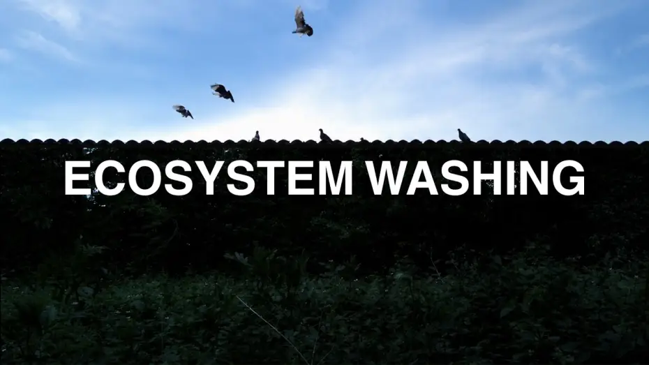 Видео к фильму Ecosystem washing — Ecosystem Washing