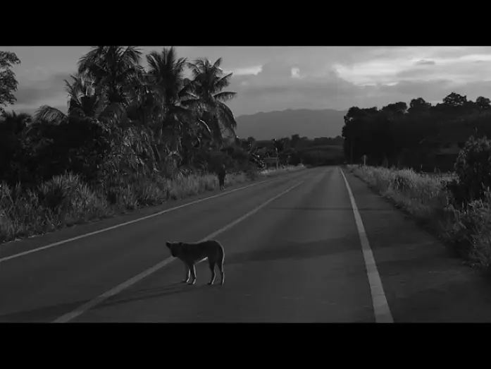 Видео к фильму สวรรค์บ้านนา — SA - WUN - BAN - NA (2566)