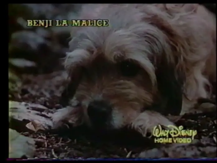 Видео к фильму Бенджи потерялся — Benji la malice (1987) Bande annonce française.