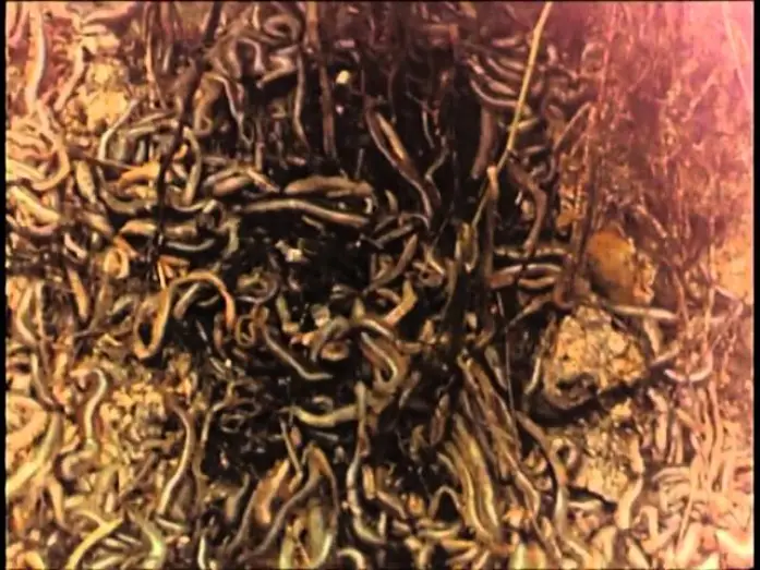 Видео к фильму Черви — Squirm - Invasion der Bestien (1976) Deutscher Trailer