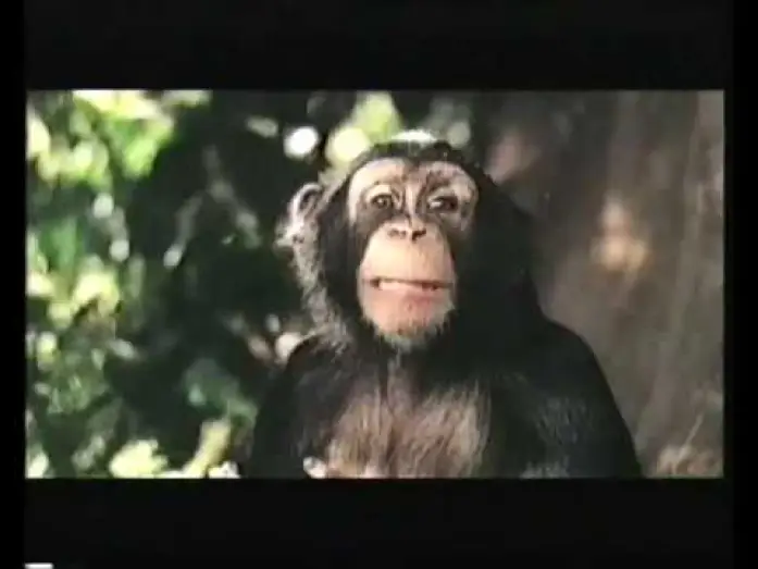 Видео к фильму Джордж из джунглей 2 — Disney's George of the jungle 2 Trailer 2003 (VHS Capture)
