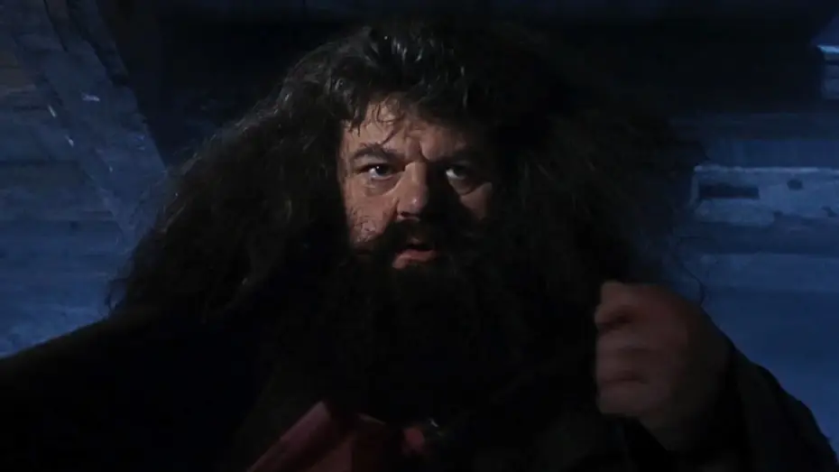 Видео к фильму Гарри Поттер и философский камень | A visit from Rubeus Hagrid | Harry Potter and the Philosopher's Stone