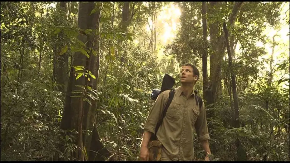 Видео к фильму Добро пожаловать в джунгли — La jungla / Tráiler oficial España