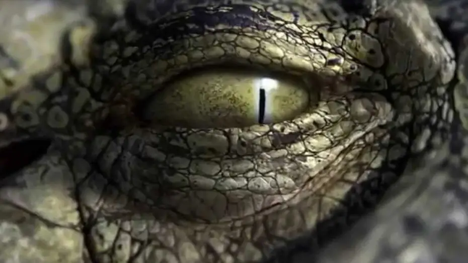 Видео к фильму RoboCroc — Robocroc Trailer
