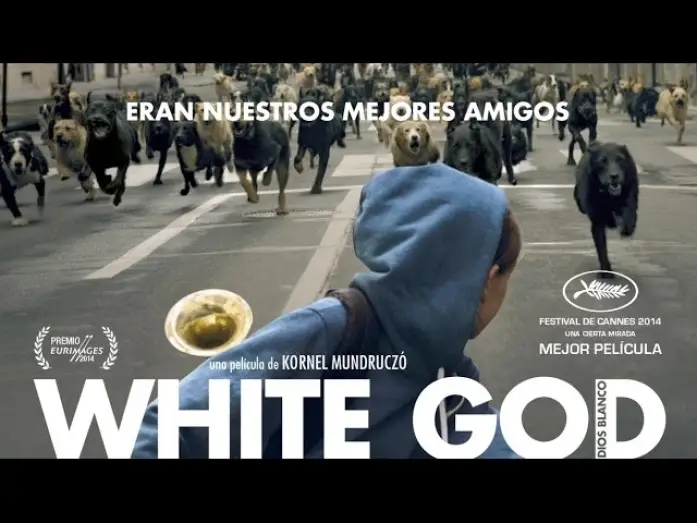 Видео к фильму Белый Бог — WHITE GOD (DIOS BLANCO) - Tráiler en español HD