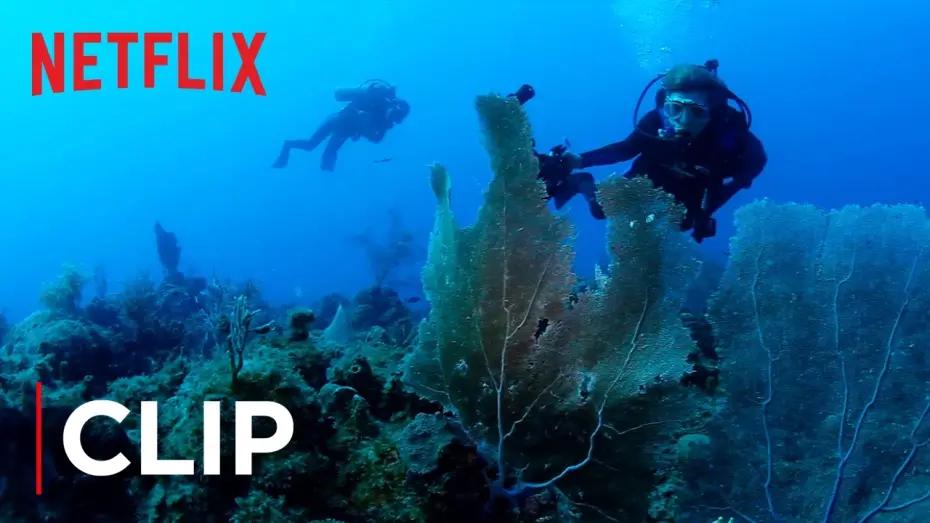 Видео к фильму Миссия Океан — The Ocean Is Dying