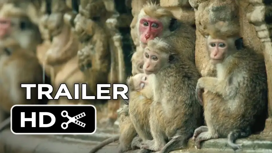 Видео к фильму Королевство обезьян — Monkey Kingdom Official Trailer #1 (2015) - Disneynature Documentary HD