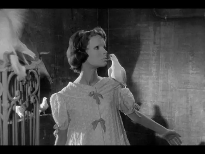 Видео к фильму Глаза без лица — Sam Hamm on Eyes Without a Face