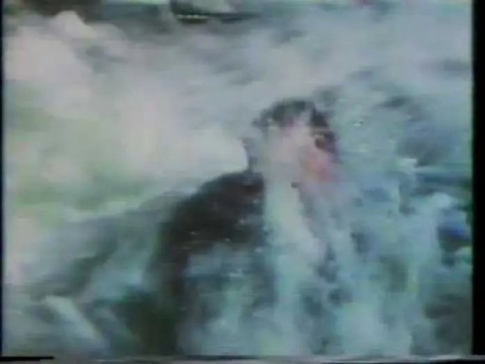 Видео к фильму Пленники Посейдона — Beyond the Poseidon Adventure 1979 TV trailer