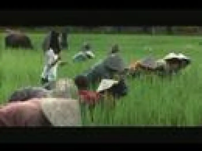 Видео к фильму Небо и земля — HEAVEN AND EARTH -   Trailer ( 1993 )