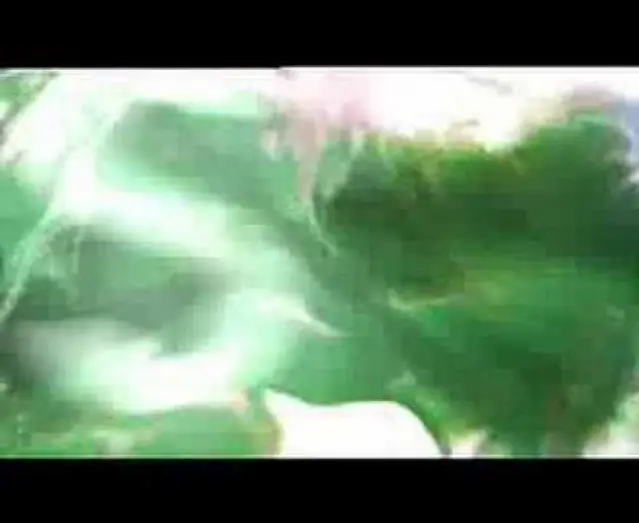 Видео к фильму Инфекция — Infection (Trailer - ENG)