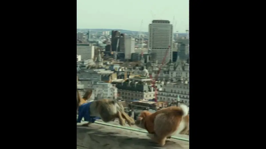 Видео к фильму Кролик Питер | PETERRABBIT motion 768x1360 tablet