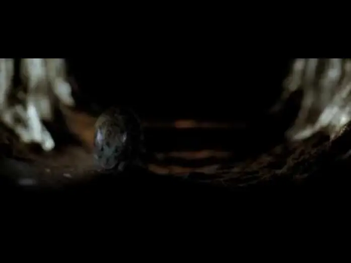 Видео к фильму Спуск 2 — Exclusive Clip