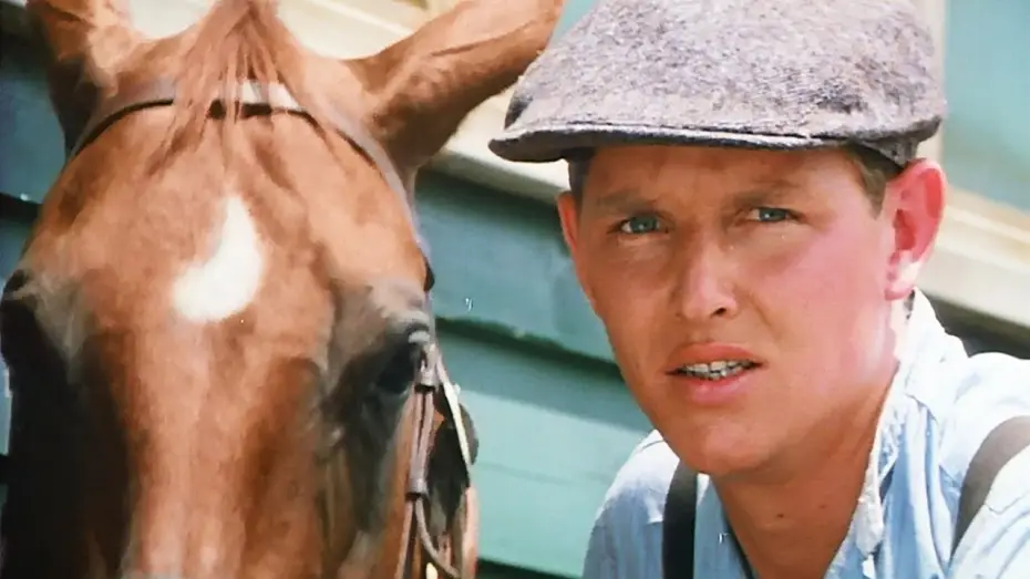 Видео к фильму Phar Lap — Phar Lap (1983) ORIGINAL TRAILER