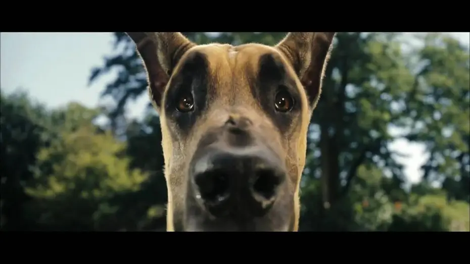 Видео к фильму Мармадюк — Marmaduke Trailer [german] HD