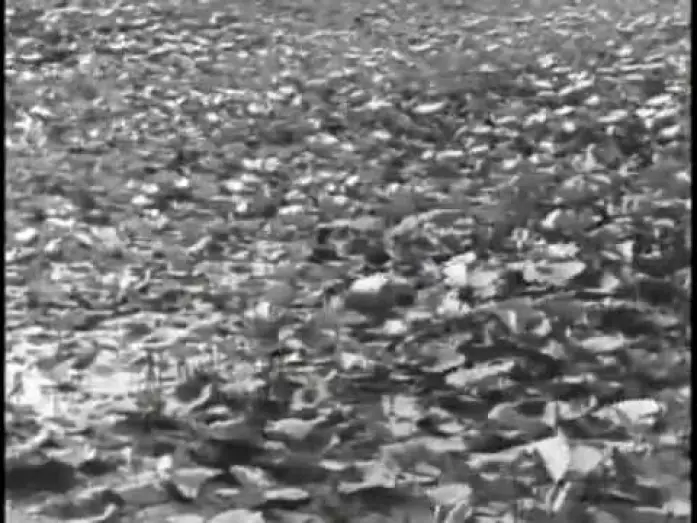 Видео к фильму Песнь дороги | Pather Panchali  the rain scene