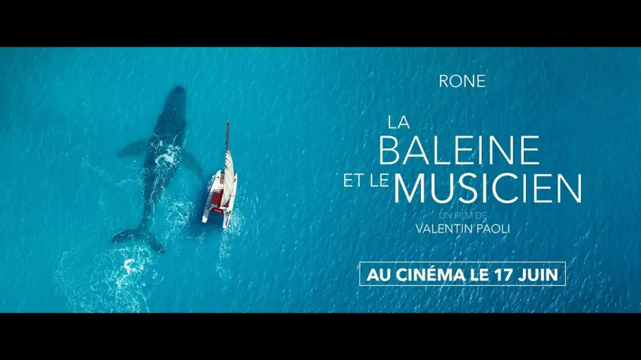 Видео к фильму La Baleine et le musicien | LA BALEINE ET LE MUSICIEN - Bande Annonce