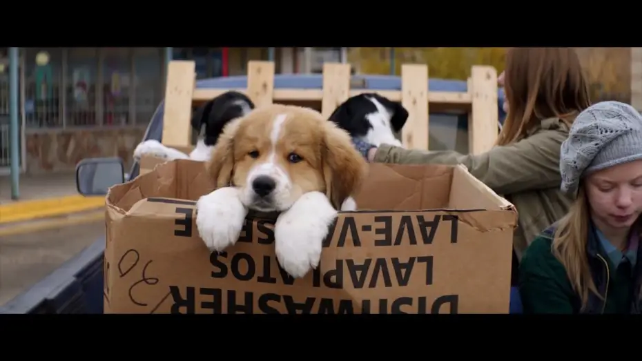 Видео к фильму Собачья жизнь | MES VIES DE CHIEN - Bande annonce - VF