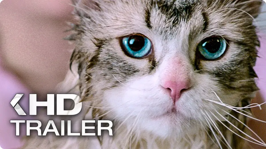 Видео к фильму Девять жизней — NINE LIVES Exklusiv Trailer German Deutsch (2016)