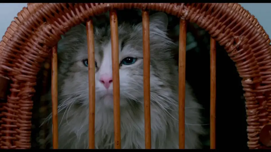 Видео к фильму Девять жизней — MA VIE DE CHAT - Extrait "Dans la peau d'un chat" VF [Kevin Spacey, Christopher Walken]