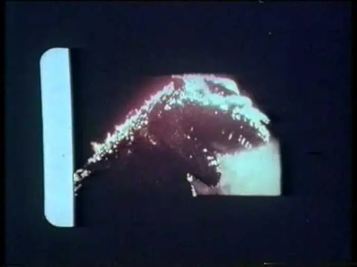 Видео к фильму Godzilla — GODZILLA DI LUIGI COZZI (1977)