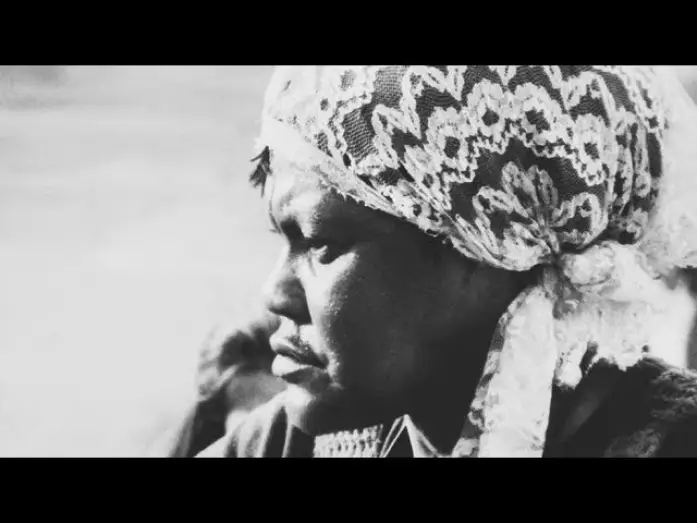 Видео к фильму O Tigre e a Gazela — O Tigre e a Gazela  (1977) de  Aloysio Raulino