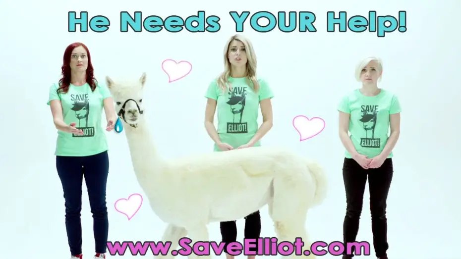 Видео к фильму Безумный тридцатник — HELP OUR ALPACA FRIENDS! #Dirty30Movie