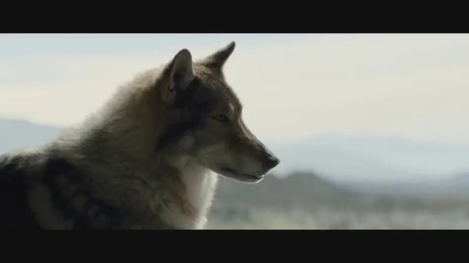 Видео к фильму Альфа — ALPHA - Filmclip deutsch "Friedensangebot" | Ab 7.9.2018 nur im Kino