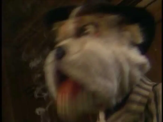 Видео к фильму Dog City — Trailer - Dog City - The Jim Henson Company