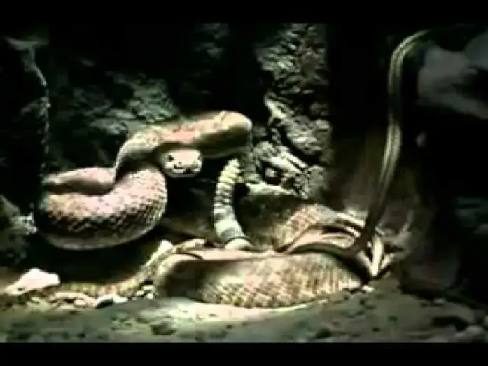 Видео к фильму Venomous — Venomous 2001 movie trailer