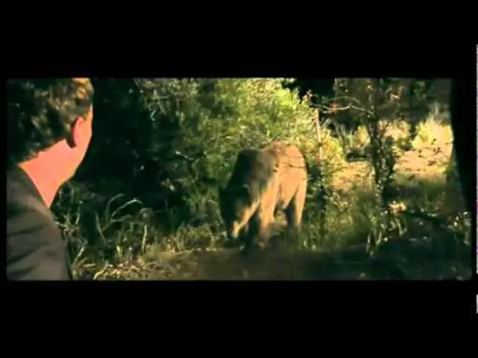 Видео к фильму Медведь — Bear - Trailer (OmU)