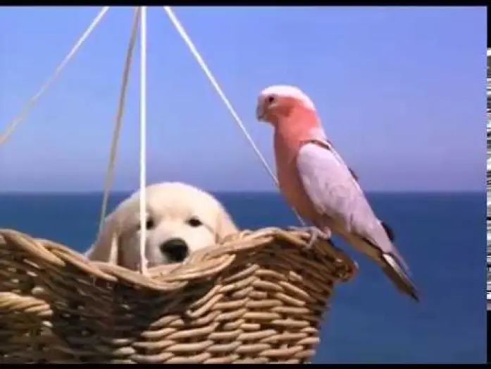 Видео к фильму Napoleon — Napoleon - Excerpt (1995)