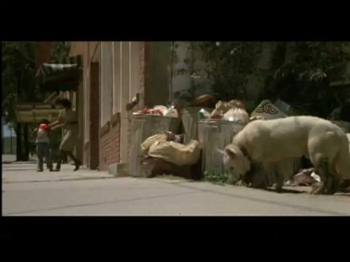 Видео к фильму Белая собака — White Dog (1982) Theatrical Trailer