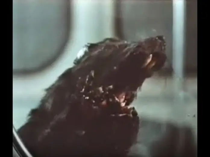 Видео к фильму Крысы — Rats (1982) - Trailer