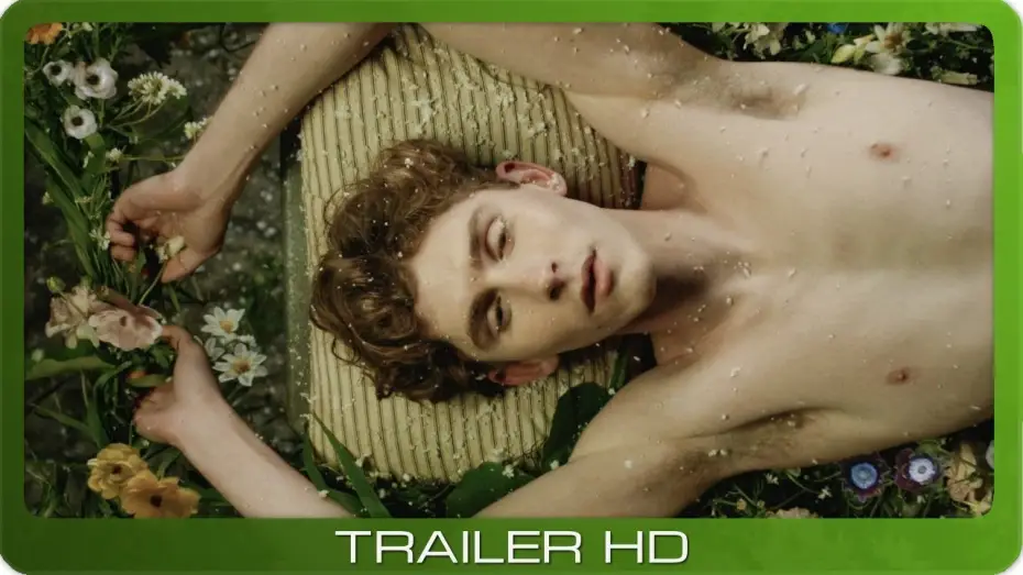 Видео к фильму Лилии не для меня | Lilies Not for Me ≣ 2024 ≣ Trailer ≣ German | Deutsch ≣ OmU