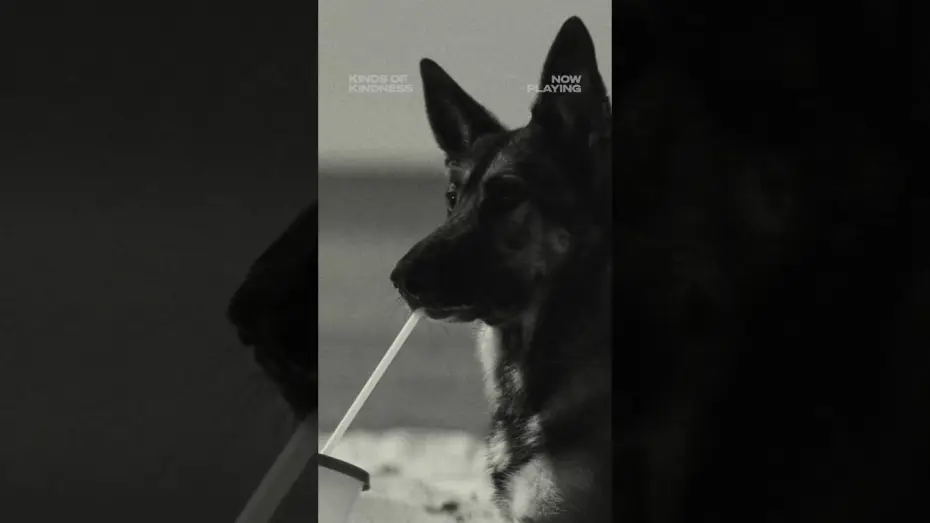 Видео к фильму Виды доброты | Wonderful