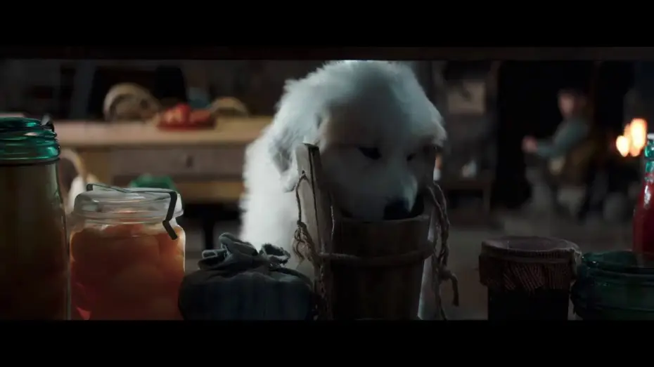 Видео к фильму Белль и Себастьян: Друзья навек — Belle et Sébastien 3 : Le dernier chapitre - Extrait "Les chiots"