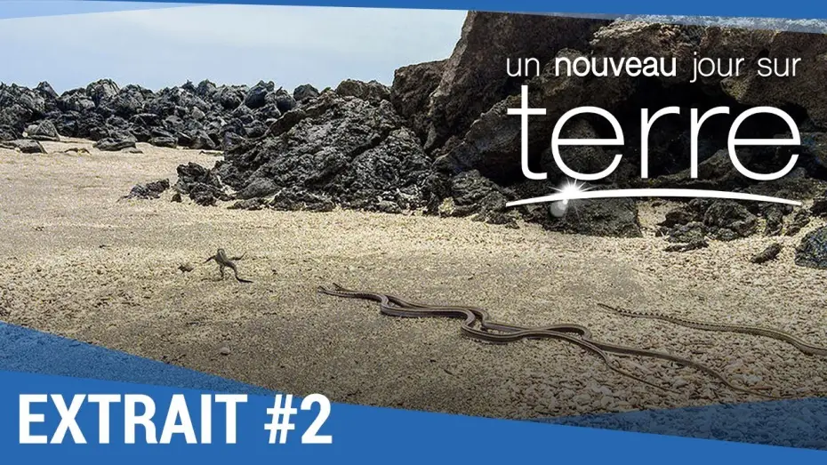 Видео к фильму Земля: Один потрясающий день — UN NOUVEAU JOUR SUR TERRE - Extrait "Iguanes" VF