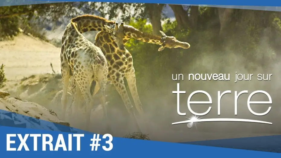 Видео к фильму Земля: Один потрясающий день — UN NOUVEAU JOUR SUR TERRE - Extrait "Girafes" VF