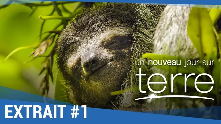 Видео к фильму Земля: Один потрясающий день — UN NOUVEAU JOUR SUR TERRE - Extrait "Paresseux" VF