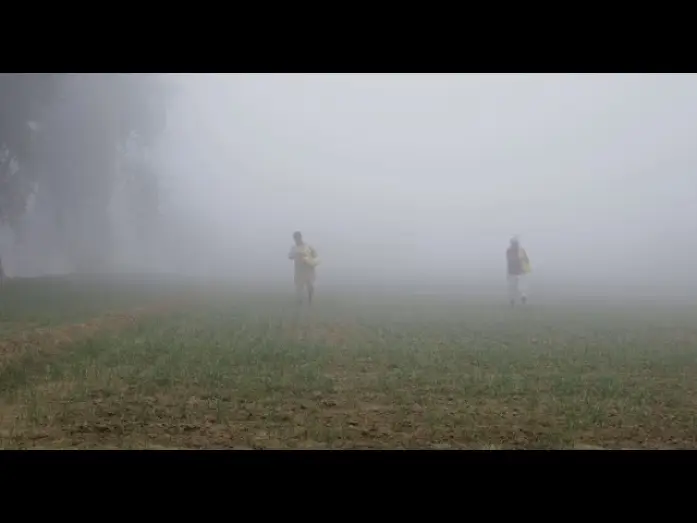 Видео к фильму Les Dépossédés — Os Despossuídos | 8ª Mostra Ecofalante