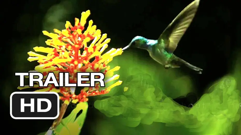 Видео к фильму Скрытая красота: История любви, которая питает Землю — Disneynature: Wings of Life Official US DVD Release Trailer #1 - Meryl Streep Movie HD