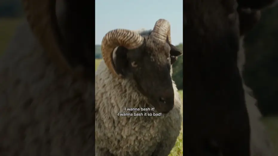 Видео к фильму Следствие ведут овечки | Sheep can do anything...