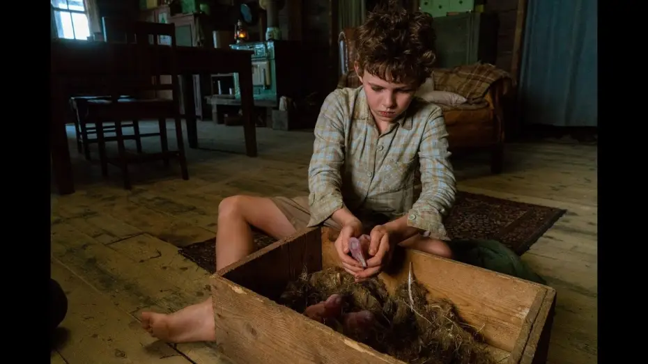 Видео к фильму Мой друг мистер Персиваль — STORM BOY - EXTRAIT : "Prendre des forces" VF
